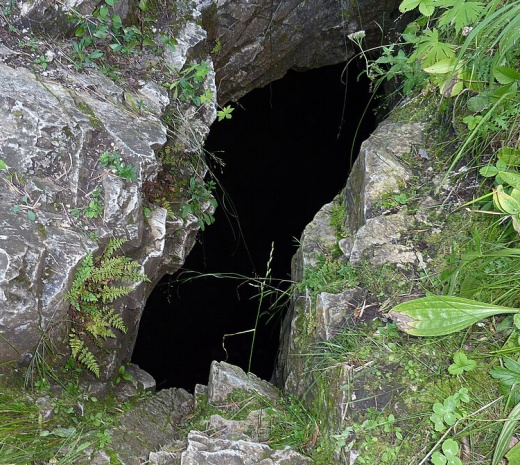 Моя душа поет