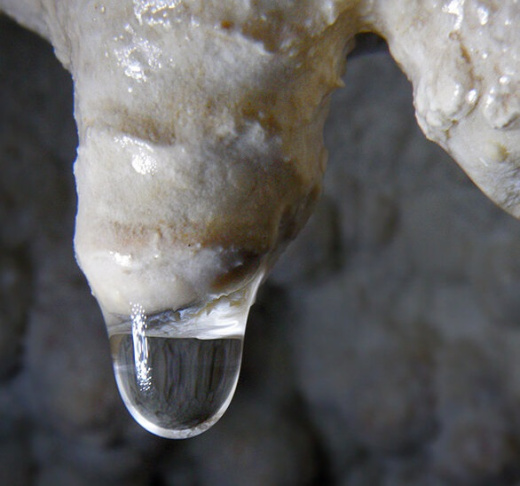 Пение капели